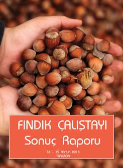 FINDIK ÇALIŞTAYI SONUÇ RAPORU