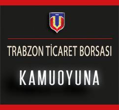 KAMUOYUNA
