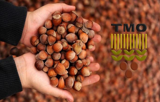 TMO’DAN FINDIK AÇIKLAMASI