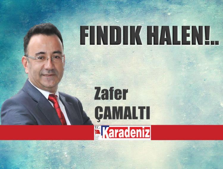 FINDIK HALEN!.. / ZAFER ÇAMALTI / KARADENİZ GAZETESİ