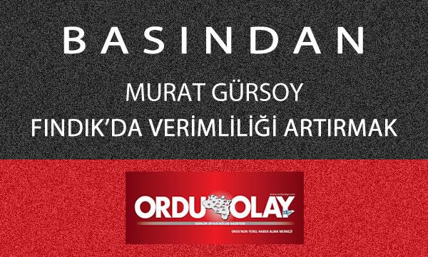 FINDIK'DA VERİMLİLİĞİ ARTTIRMAK. MURAT GÜRSOY/ ORDU OLAY GAZETESİ