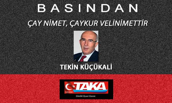 ÇAY NİMET, ÇAY-KUR VELİNİMETTİR