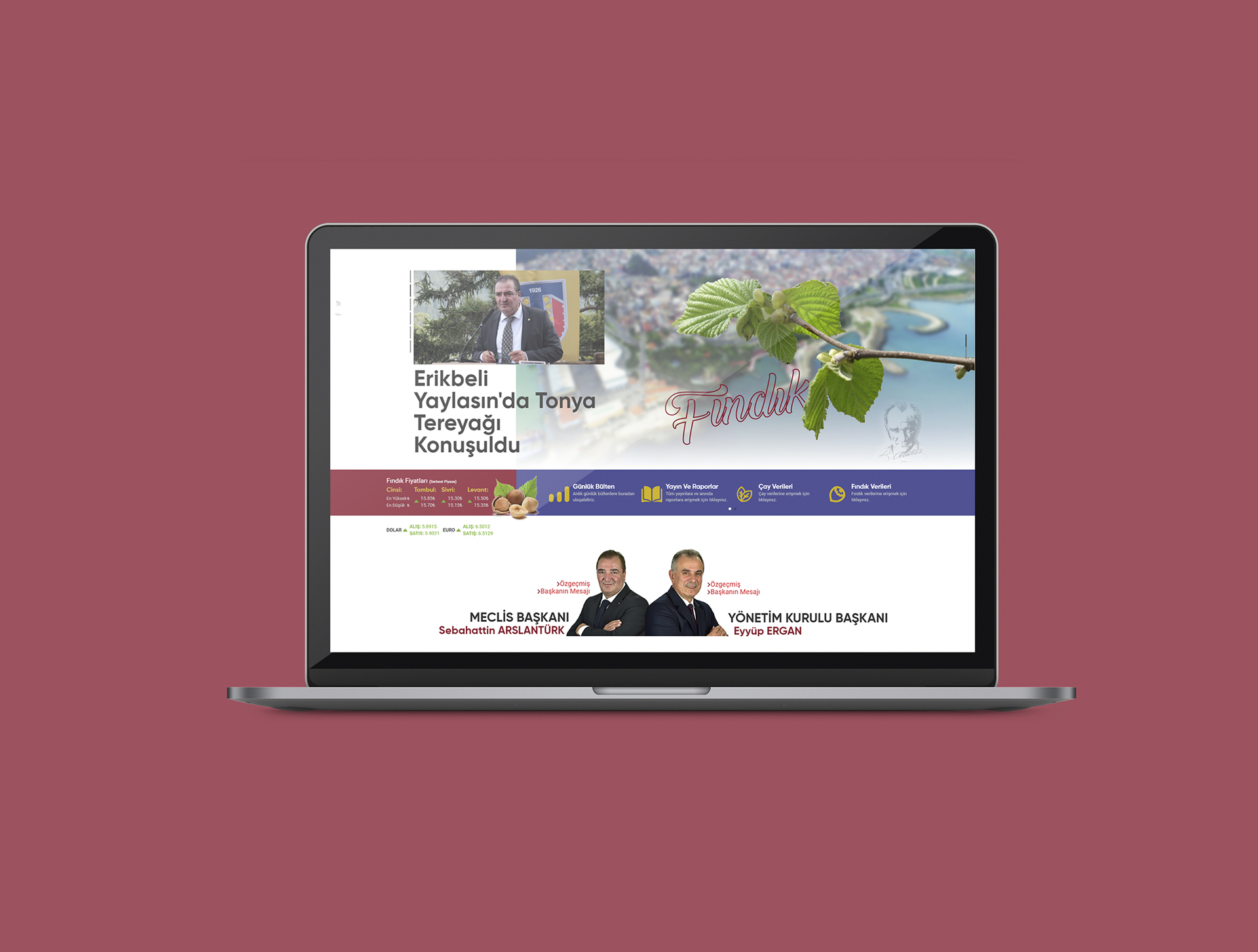 Fındık fiyatları yeniden WEB sayfasında…