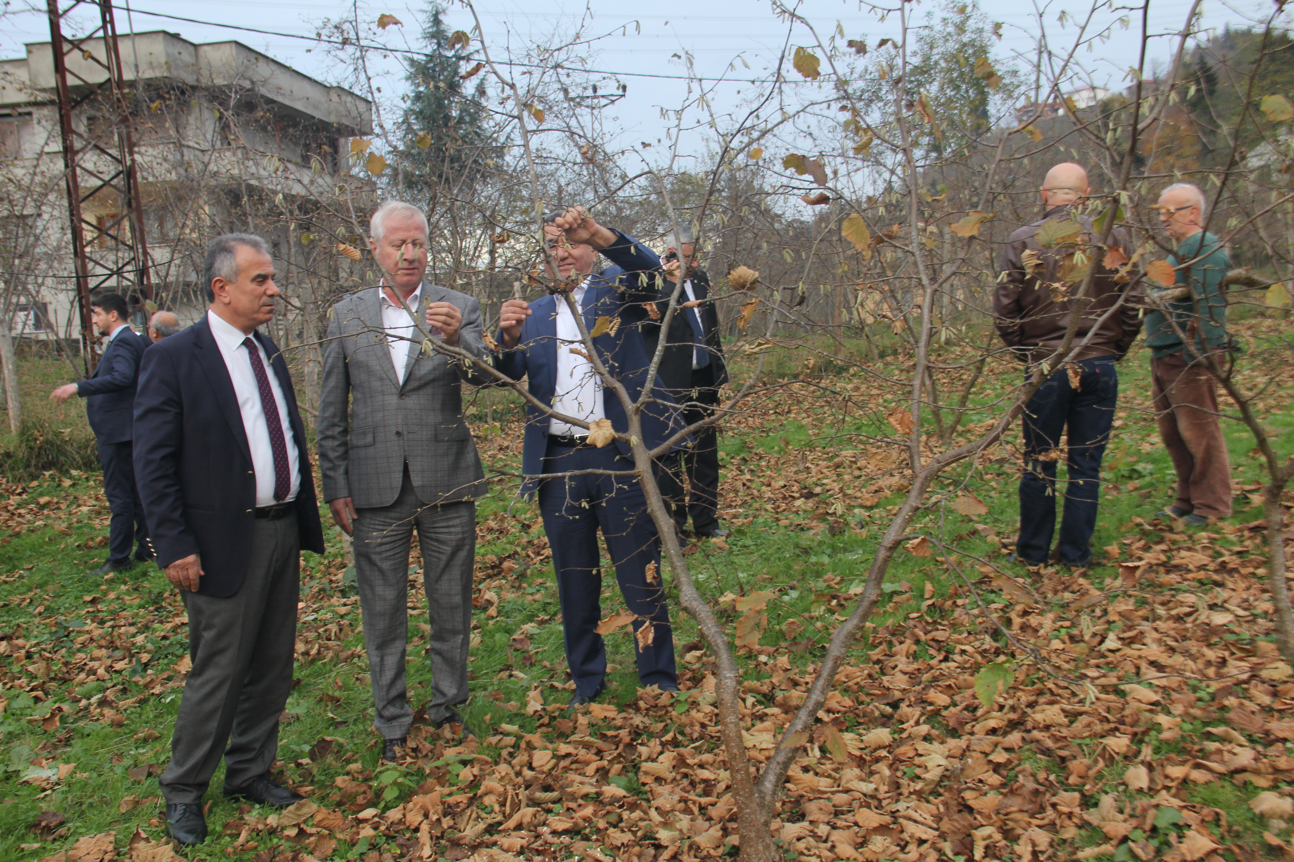 Sakarya Ticaret Borsası heyeti, Trabzon’da örnek bahçeleri gezdi