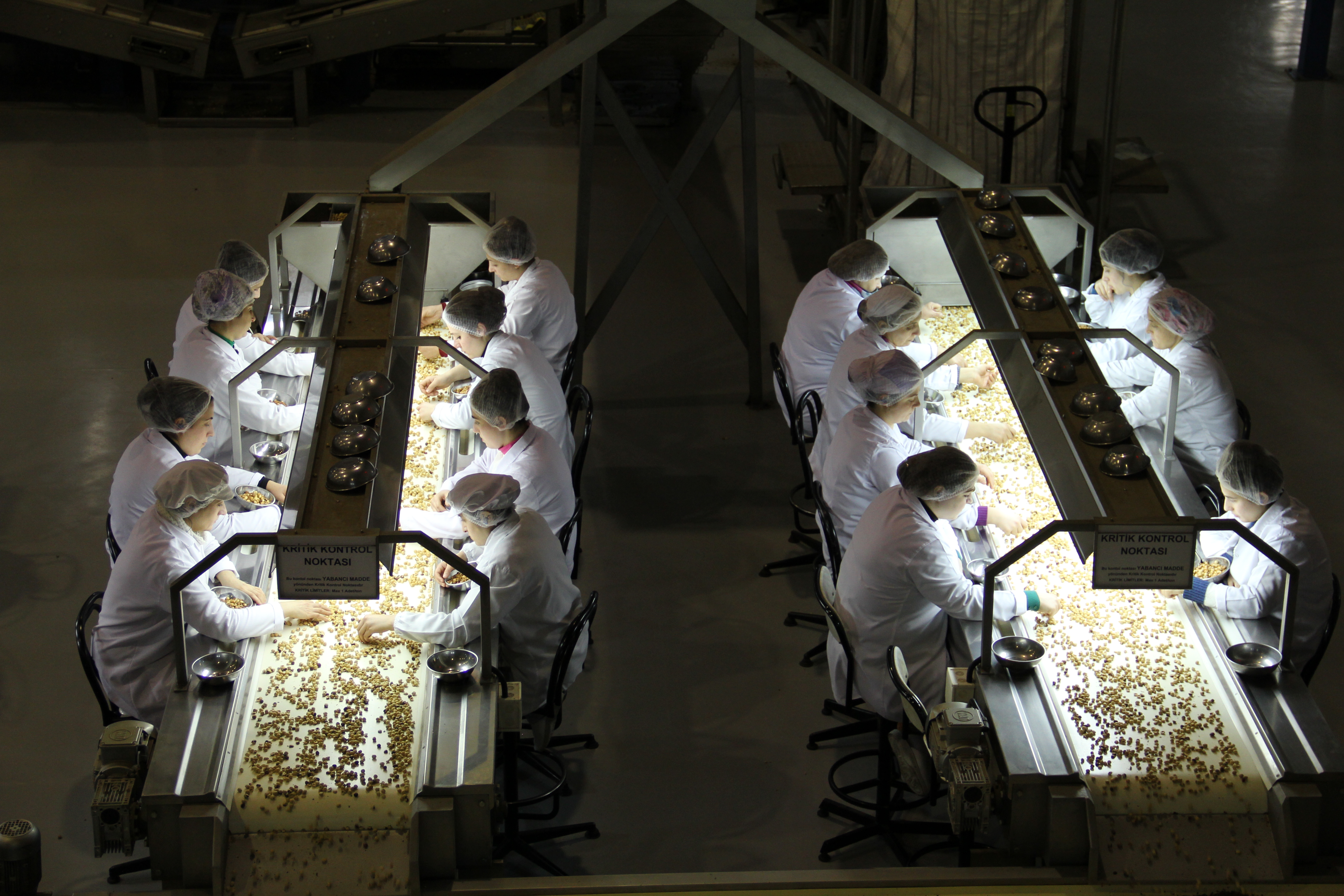 Fiskobirlik'ten 20 ülkeye...