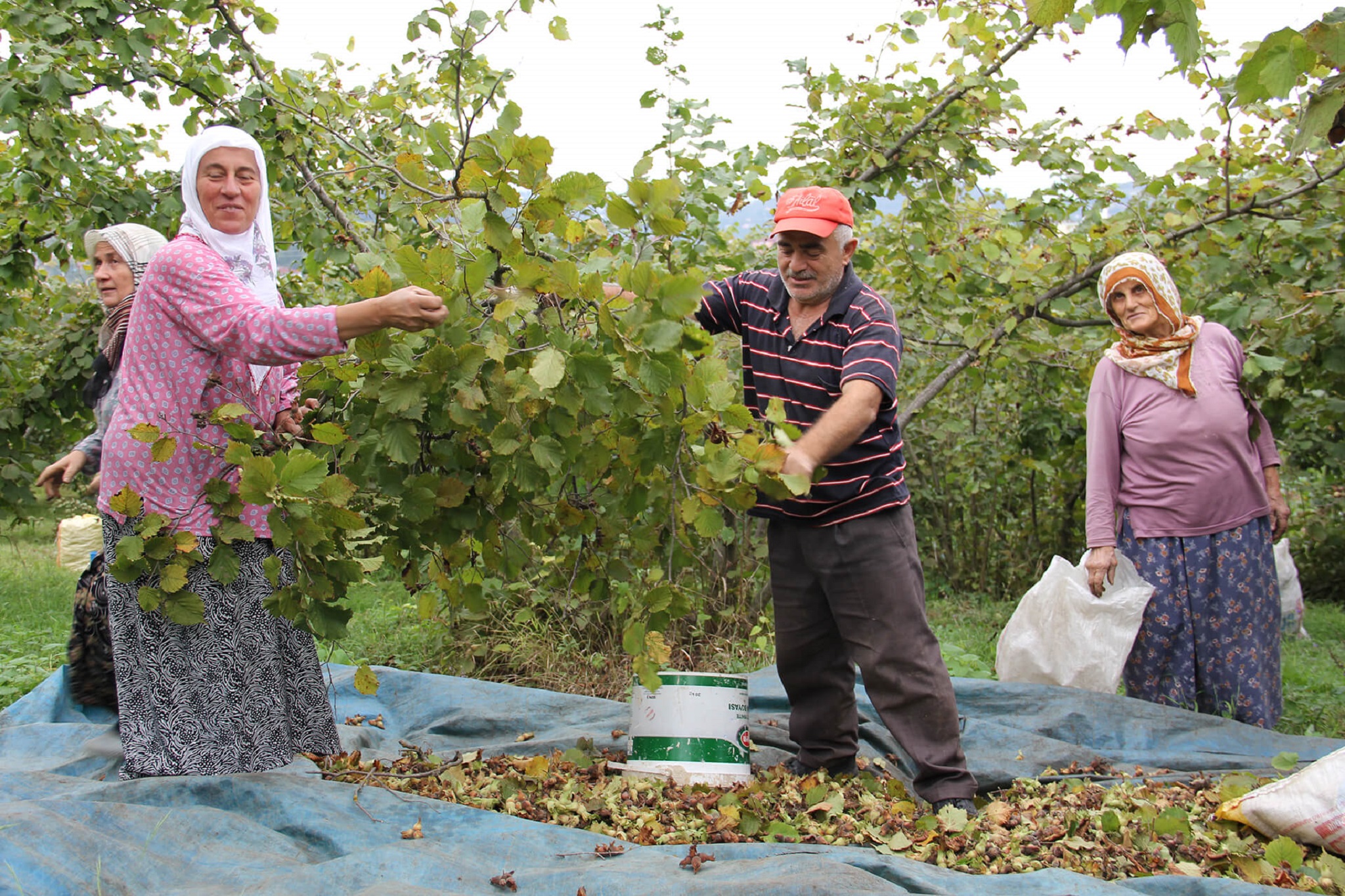 Cumhurbaşkanı Erdoğan’ın tarım çağrısına destek