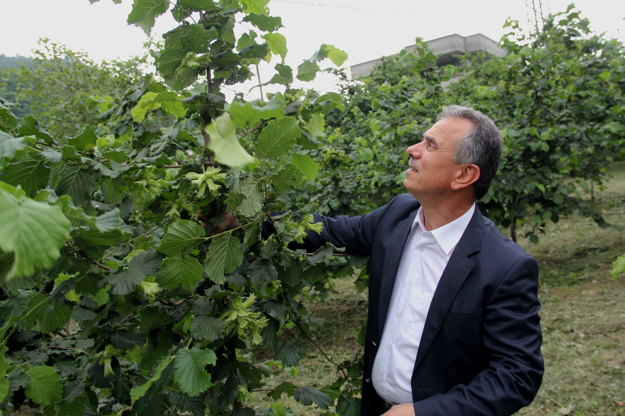 TTB Başkanı Ergan; “Üretimi teşvik edici bir fiyat”