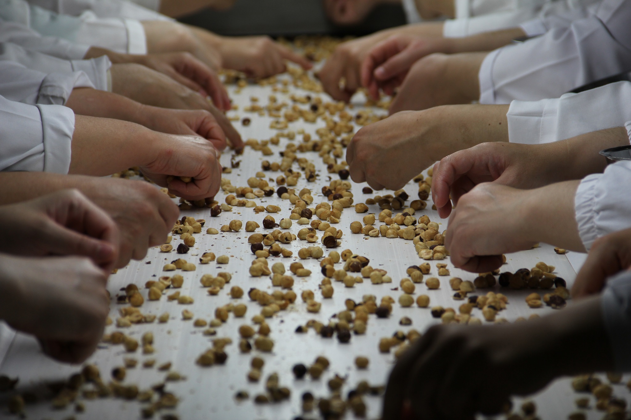 Türkiye Fındıktan net döviz kazanıyor