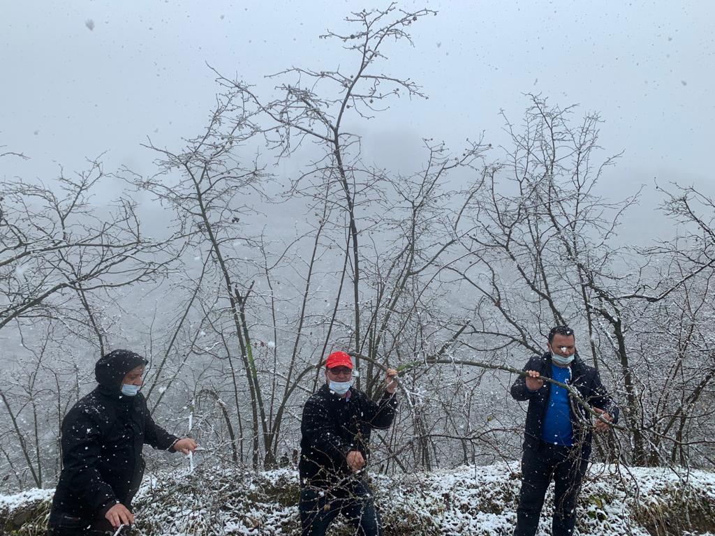 Meclis Başkanı Arslantürk,fındık bahçelerindeki tespitlerini karlı havaya rağmen sürdürüyor