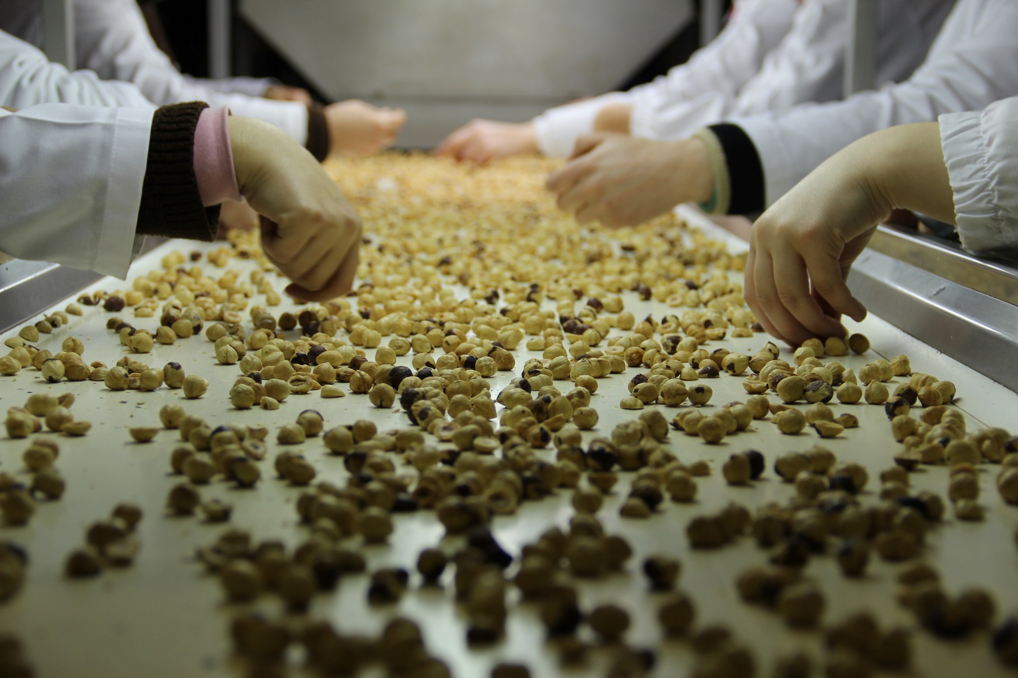 Borsa da ilk 2 ayda 736 milyon TL’lik ürün işlem gördü