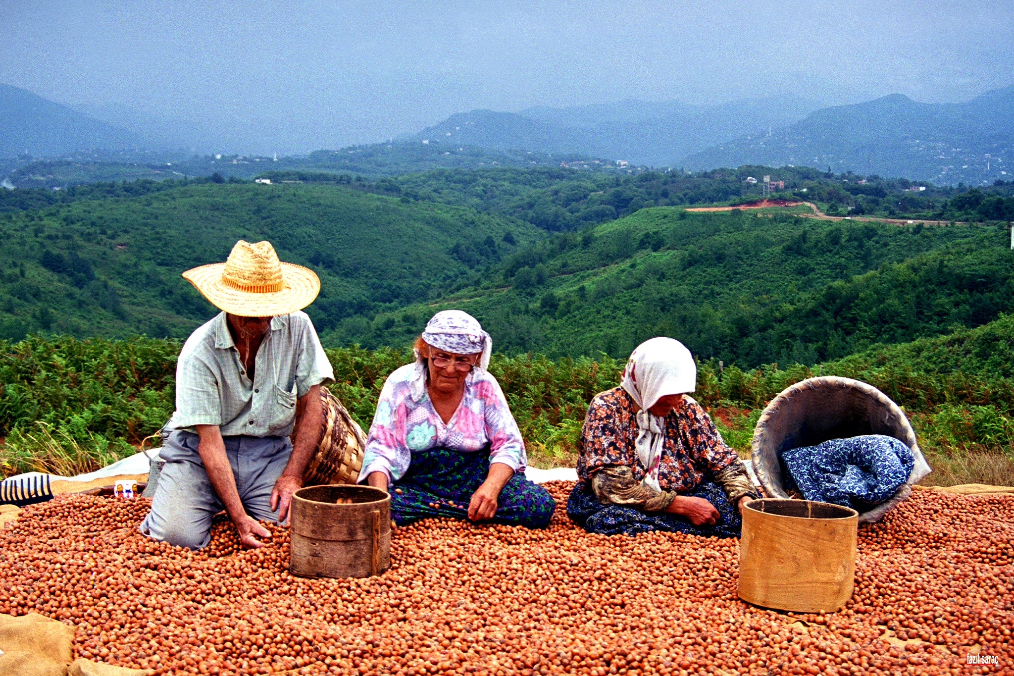 Dünya Fındık Haftası Kutlaması için girişimlere başlandı