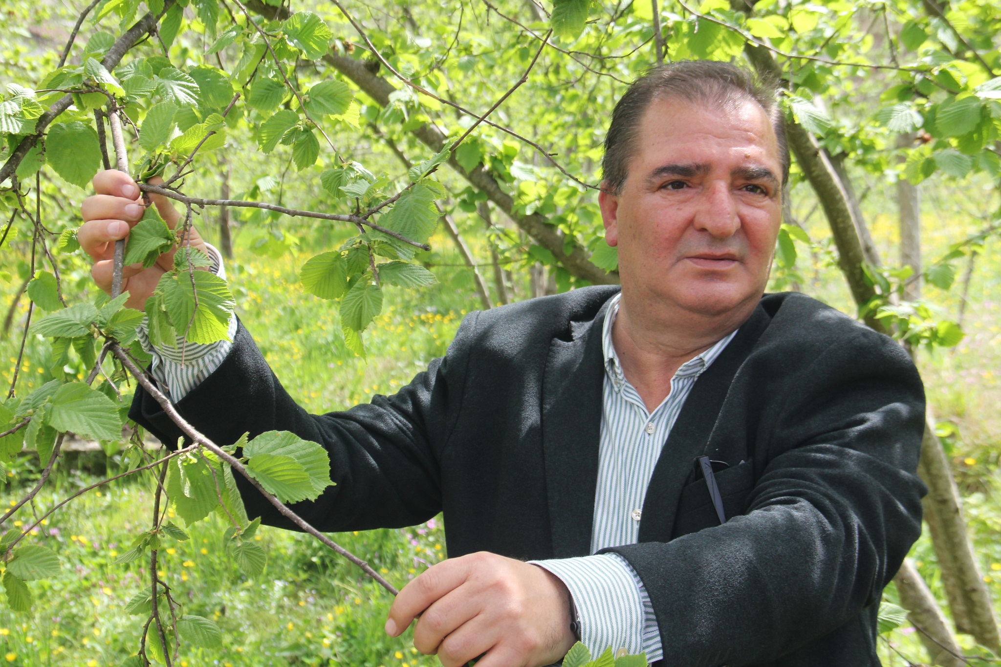 TTB Meclis Başkanı Arslantürk, “Fındık fiyatının siyasete, dolayısıyla sandığa etkisi hiç olmamıştır, olmayacaktır da.”