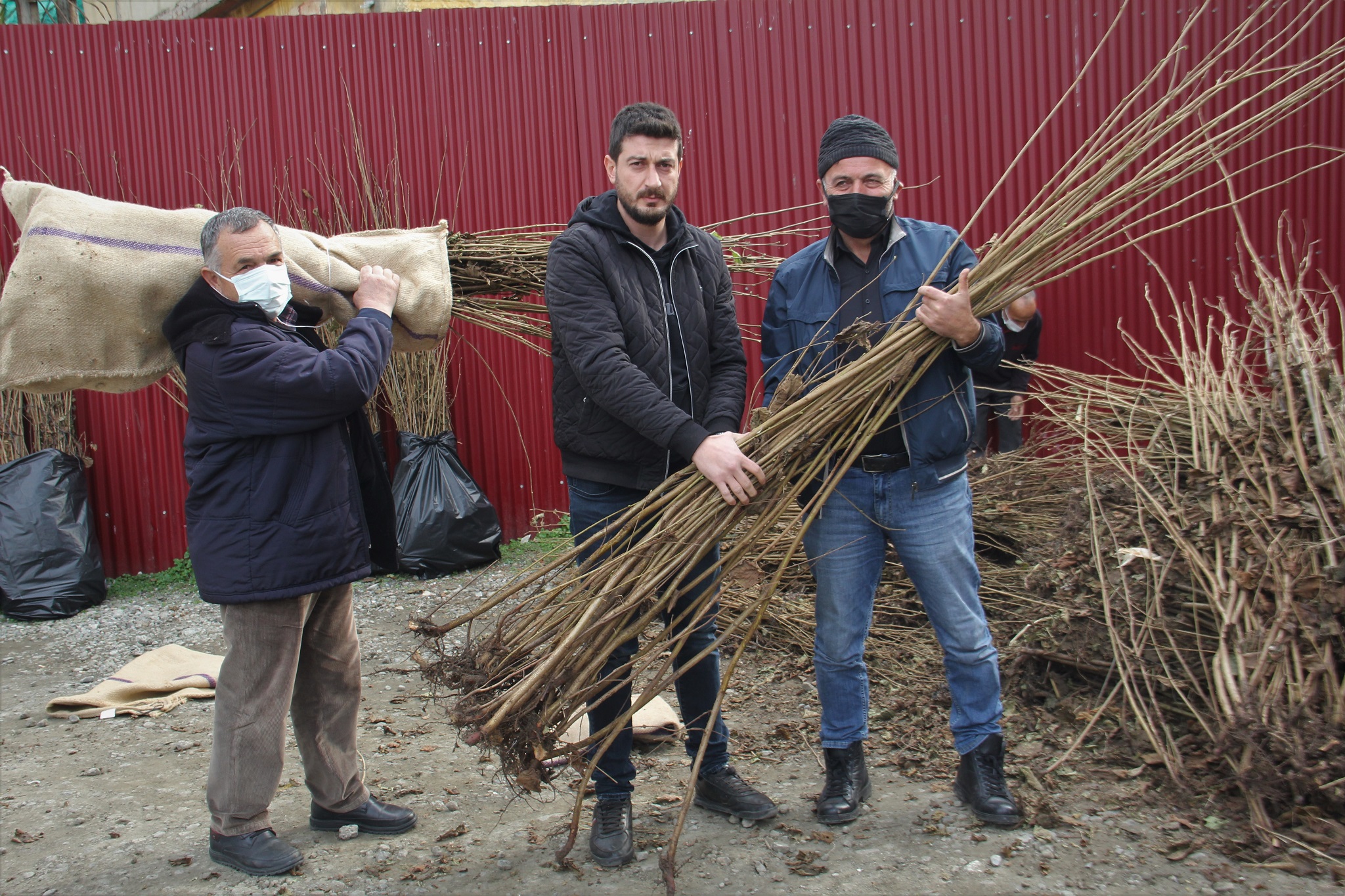 TTB’den Üreticilere ücretsiz fidan