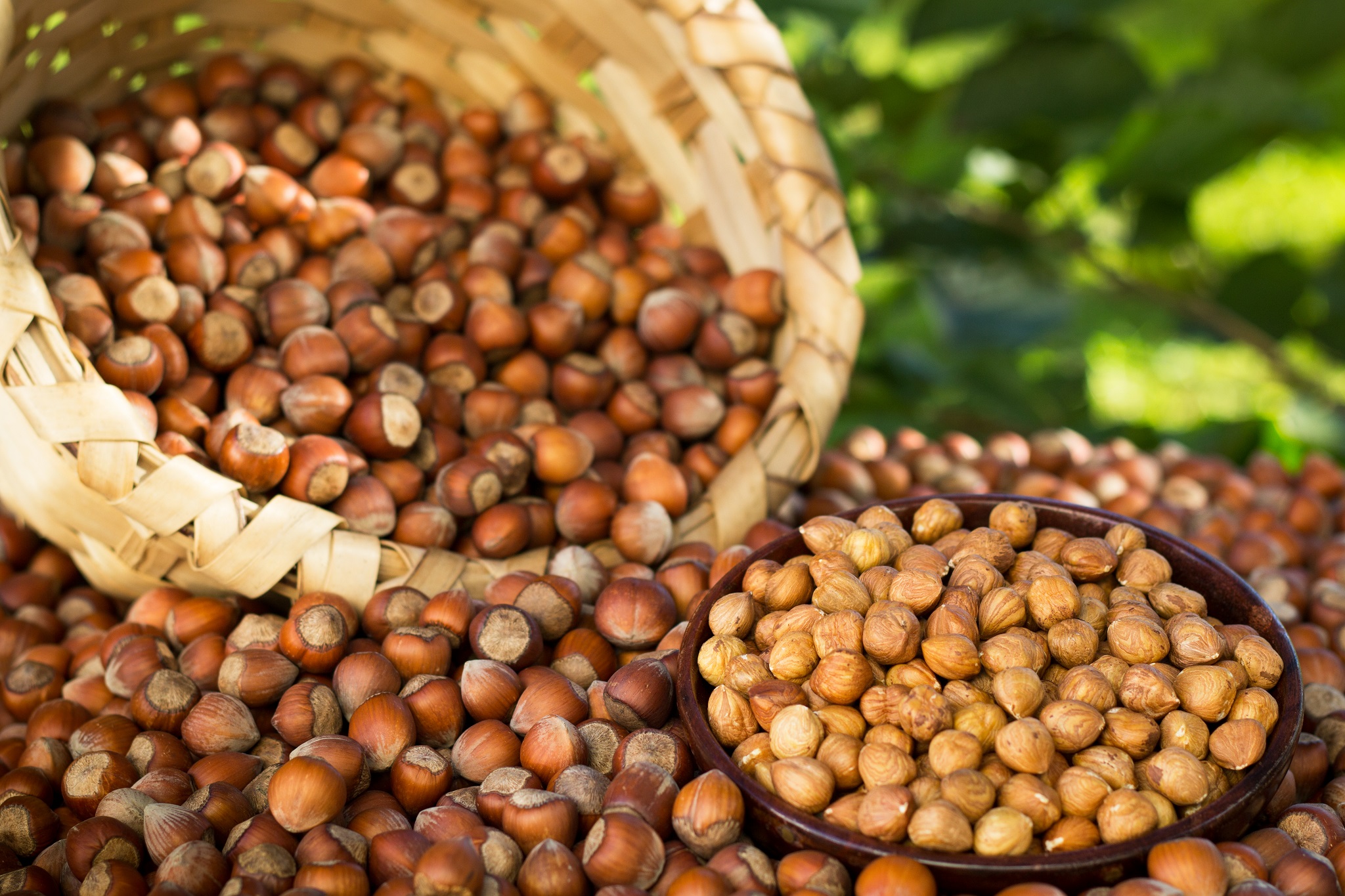 Trabzon Ticaret Borsası’nda İşlem Hacmi 