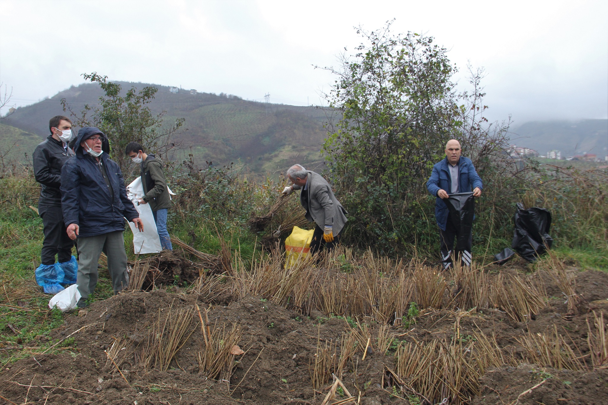 Verim ve kaliteyi arttırma projelerine, fidan desteği ile katkı sürüyor