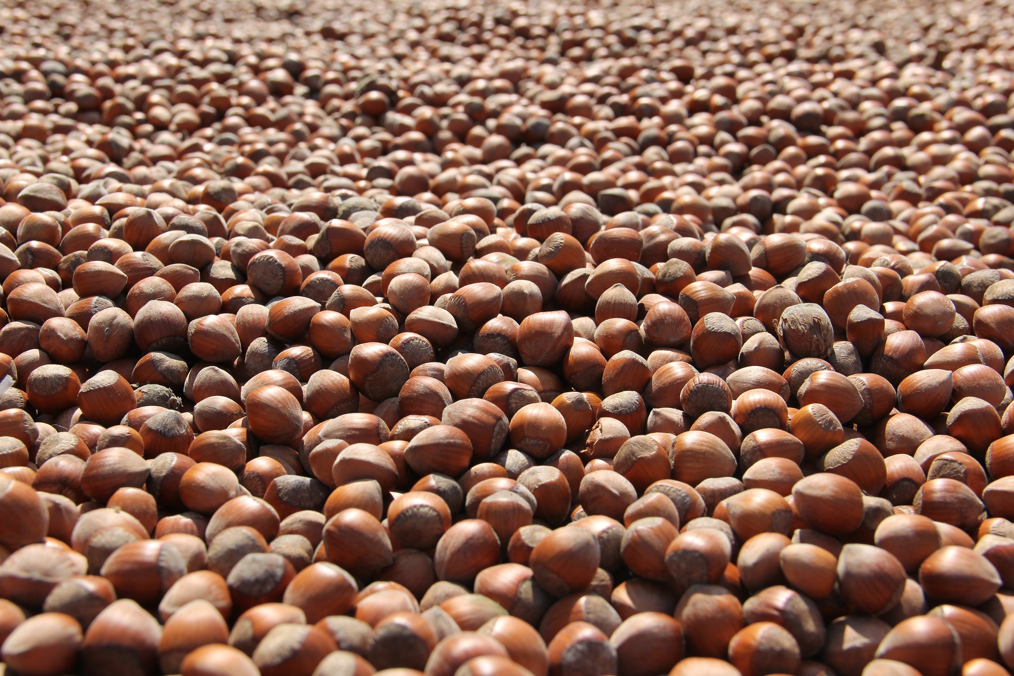 Borsamızda Haziran ayı İşlem Hacmi 