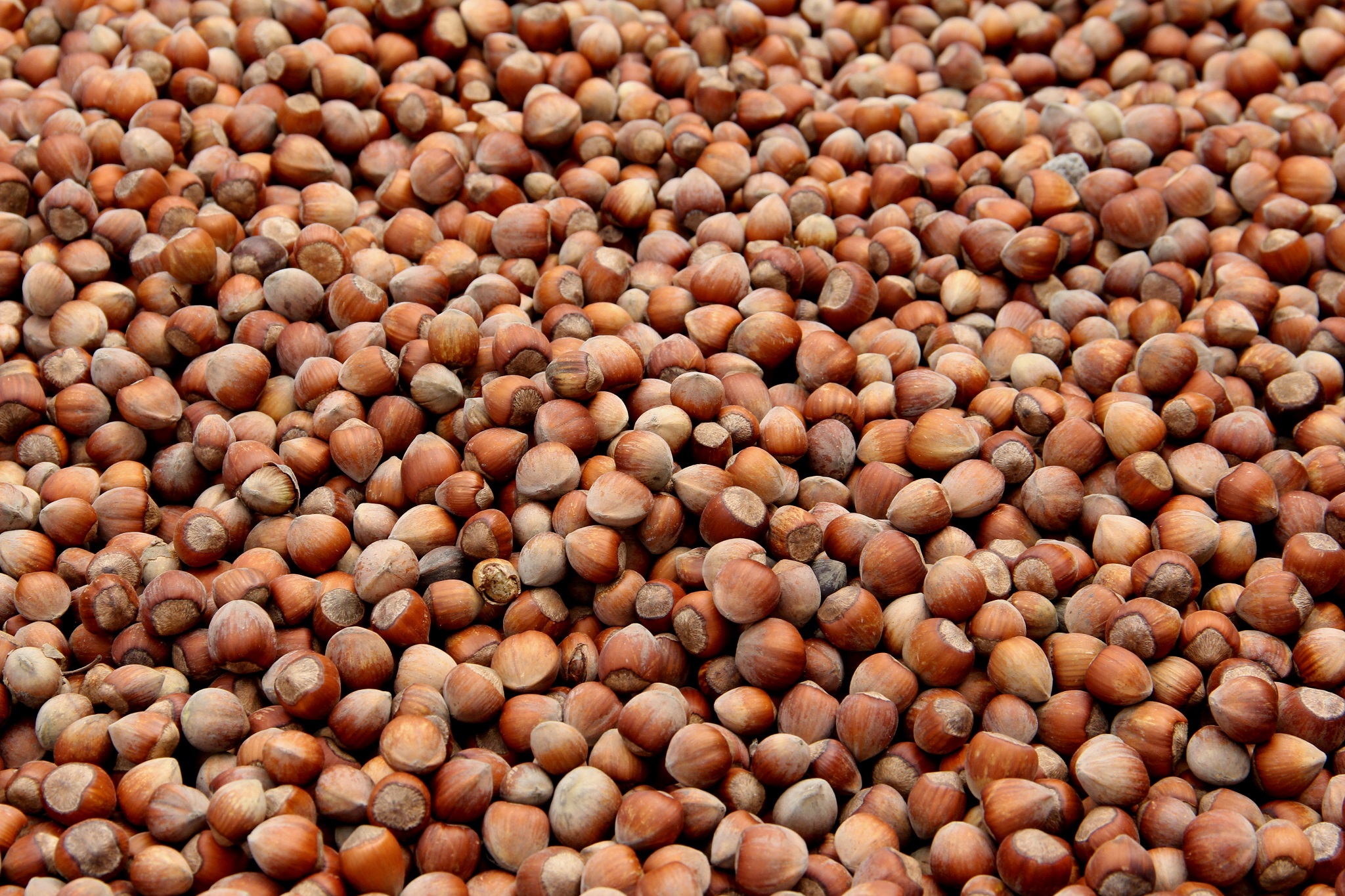 TMO’dan Kamuoyu Duyurusu