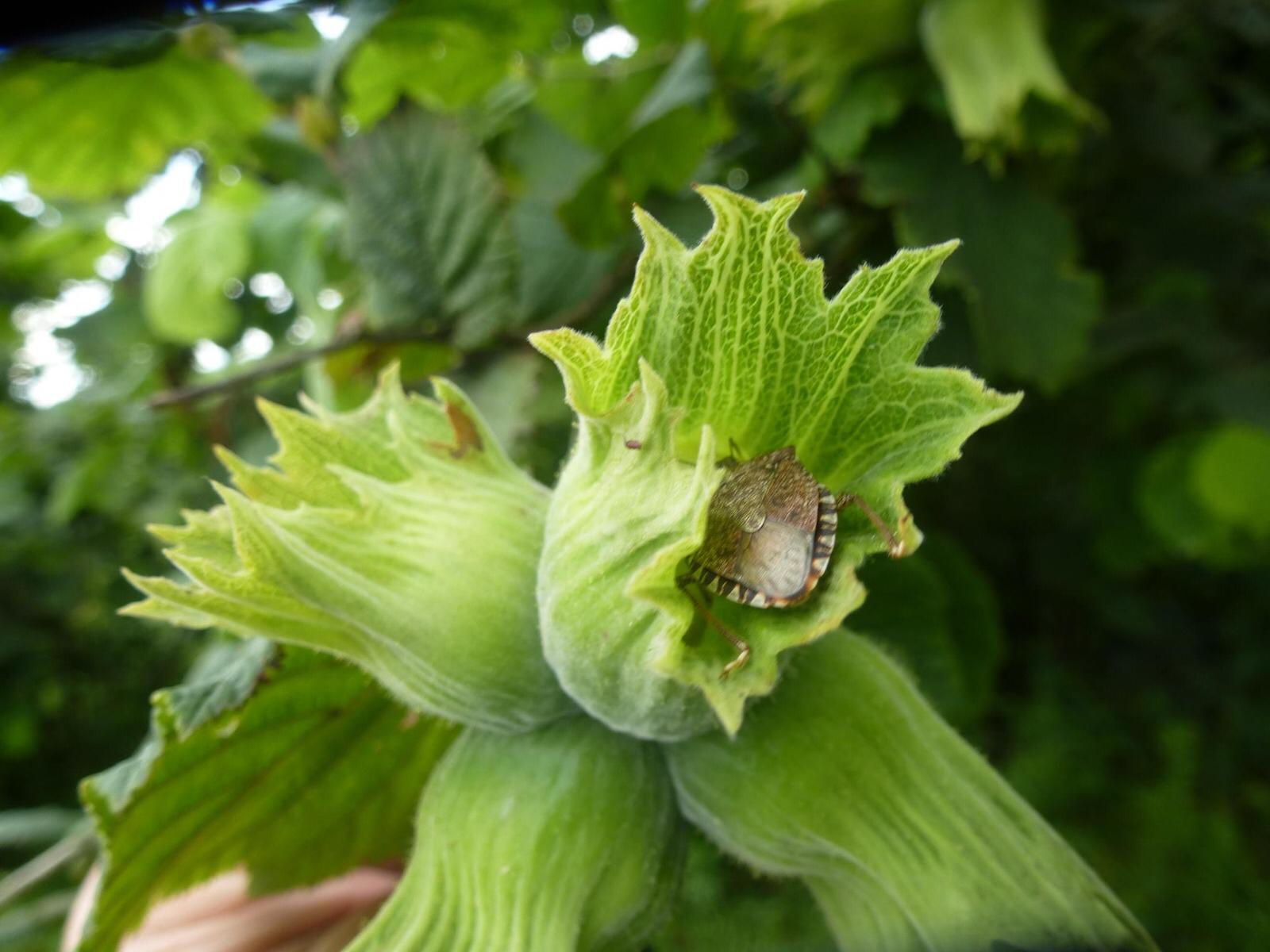 İMECE-2024 Toplantıları Başlıyor