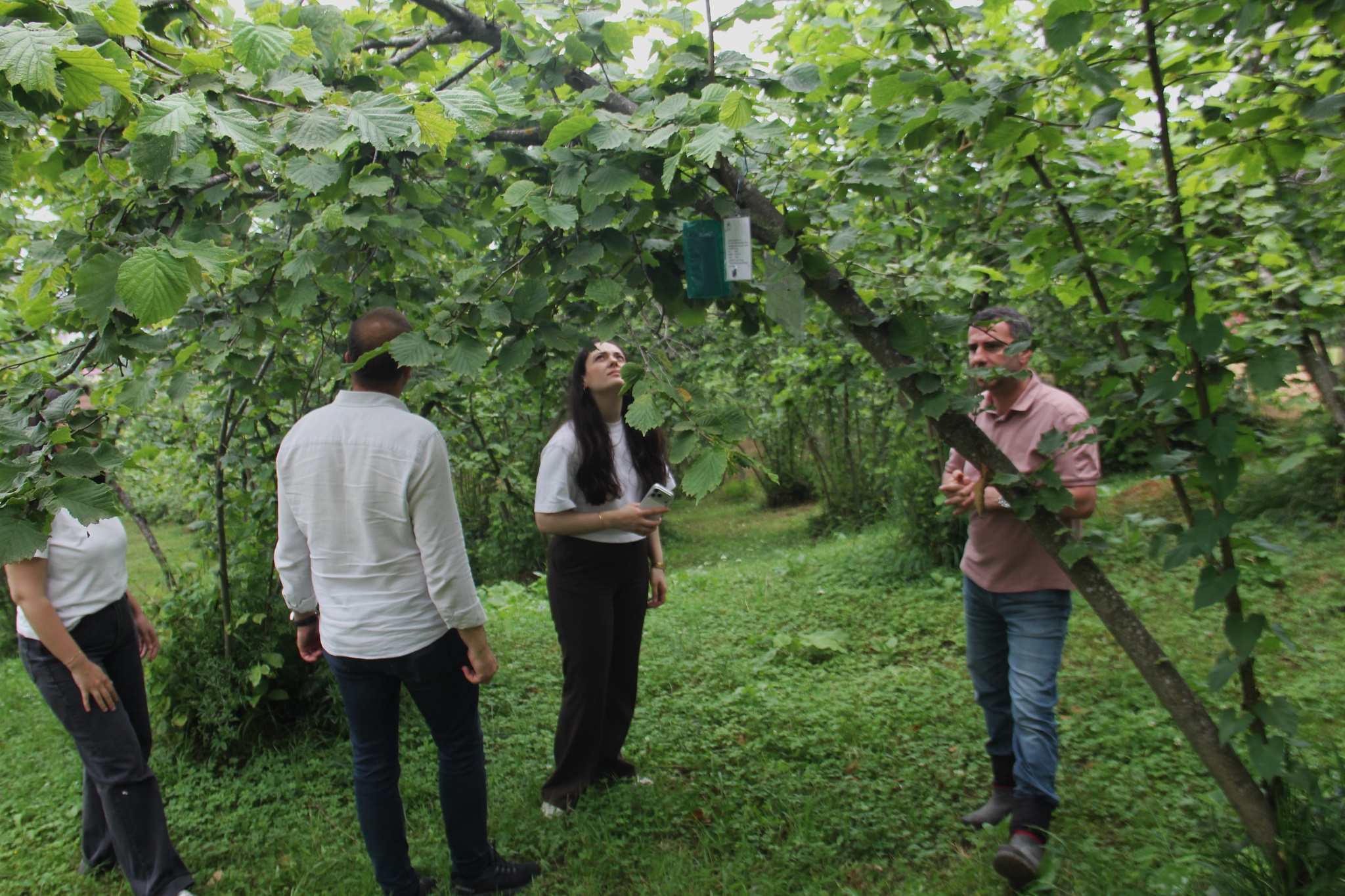 Karadeniz Havzası’nda uluslararası tarımsal iş birliği
